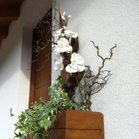 Aria D'argento & Relax Trento
