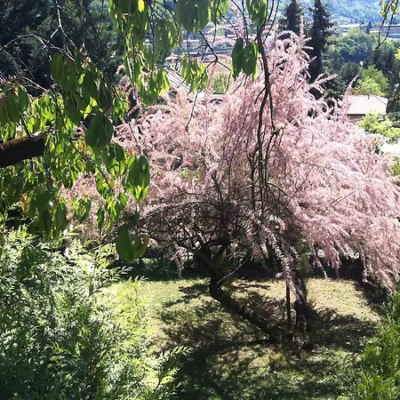 Bed & Breakfast Aria D'argento & Relax 2*